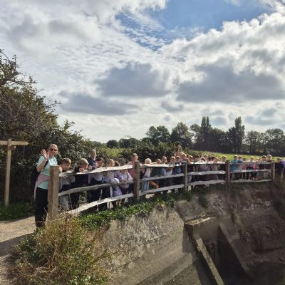 Years 3 - 4 Chichester Harbour 2026